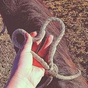 Meet your Posher, Leo